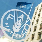 کاهش ۲.۸ درصدی قیمت جهانی مواد غذایی