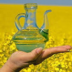قیمت خرید تضمینی دانه های روغنی دو برابر نرخ گندم تعیین شد