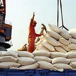آخرین مهلت واردات و ترخیص برنج اعلام شد