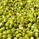خواص جوانه‌ی ماش