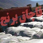 محموله برنج قاچاق در دشتی کشف شد