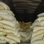 برنج‌های قاچاق در کنگان زمین‌گیر شد