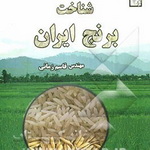 معرفی کتاب: شناخت برنج در ایران