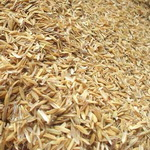 سبوس برنج دقیقا کجای برنج است؟!