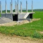 وجود خلاء قانونی برای جلوگیری از تغییرکاربری شالیزارها