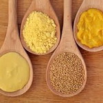 گلچینی از خواص باور نکردنی گیاه خردل