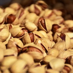 پسته‌کاران برای هر نهال ۹۰۰ تومان یارانه دریافت می‌کنند
