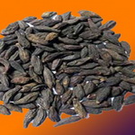 خواص هلیله ی سیاه