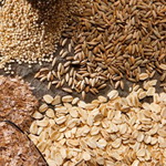 عبور تولید غلات ایران از ۲۰ میلیون تن در سال زراعی جاری