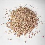 ۹ دانه مغذی را حتماً به رژیمتان اضافه کنید