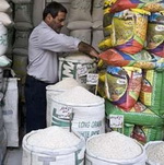 کاهش 200هزار تنی واردات برنج از خارج