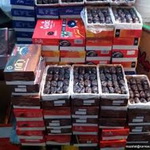 کنسرسیوم صادراتی خرمای بوشهر در نمایشگاه بین المللی روسیه