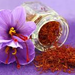 آغاز خرید حمایتی زعفران از کشاورزان