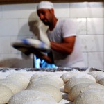 آرد نانوایی‌ها با گندم دامی و گندم انسانی مخلوط است
