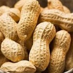 بادام زمینی محصول گیلان پس از برنج