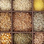 حفظ سلامت بدن با مصرف غلات کامل