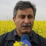 خودکفایی دانه‌های روغنی از سویا تا کلزا و آفتاب‌گردان