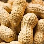 بادام زمینی به حفظ چاپکی مغز کمک می کند