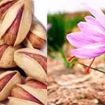 بازار زعفران و پسته در جهان باید در انحصار ایران باشد