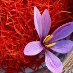 زعفران کدرهگیری چهار بُعدی گرفت