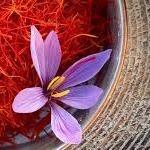 زعفران اصل را چگونه بشناسیم