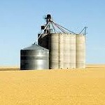 ۳ دغدغه سیلوداران بخش خصوصی