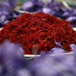 طلای سرخ، گذرگاه رشد اقتصاد غیرنفتی