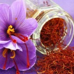 زعفران بدون پروانه بهداشتی تقلبی است