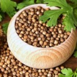 بذر گشنیز؛ دانه عطرآگین سلامتی