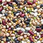 آیا لوبیا باعث کاهش وزن می شود؟