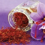 نقش کشت زعفران در اشتغال پایدار