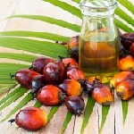 روغن نخل یا روغن پالم چیست