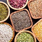 حبوبات بهترین جایگزین گوشت
