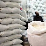 توقف واردات برنج/ بلاتکلیفی 100 هزارتن برنج در گمرک