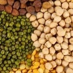بهبود صفات تعداد غلاف در بوته چه نتیجه‌ای به همراه دارد؟